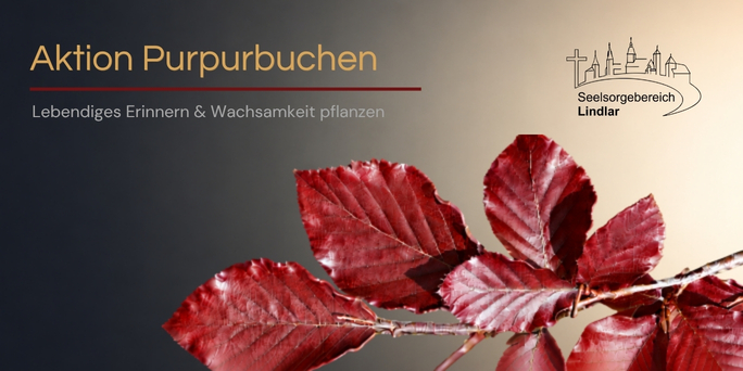 Purpurbuchen Titel_20261011_151336_0000